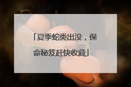 夏季蛇类出没，保命秘笈赶快收藏