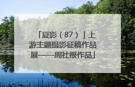 夏影（87）｜上游主题摄影征稿作品展——周社根作品