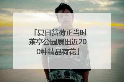 夏日赏荷正当时 茶亭公园展出近200种精品荷花