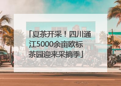 夏茶开采！四川通江5000余亩欧标茶园迎来采摘季