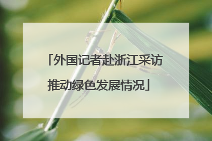 外国记者赴浙江采访推动绿色发展情况