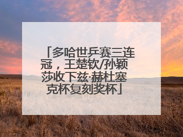 多哈世乒赛三连冠，王楚钦/孙颖莎收下兹·赫杜塞克杯复刻奖杯