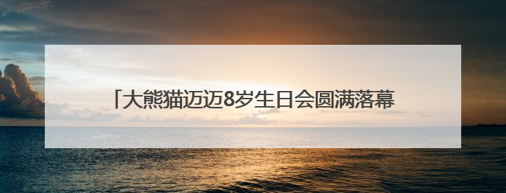 大熊猫迈迈8岁生日会圆满落幕 端午传统与国宝生日完美融合