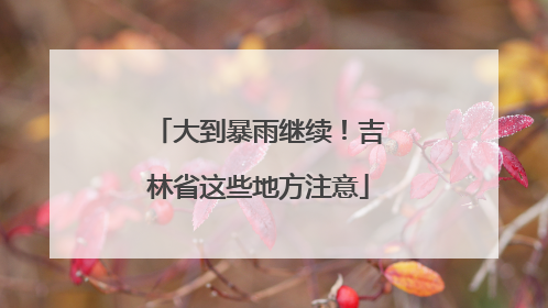 大到暴雨继续！吉林省这些地方注意