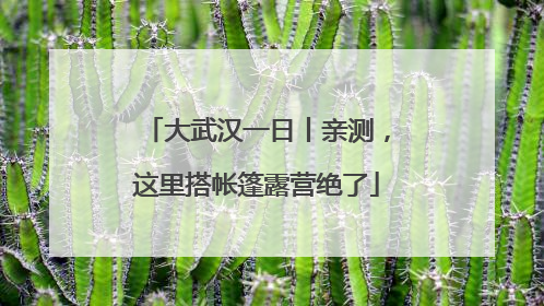 大武汉一日丨亲测，这里搭帐篷露营绝了