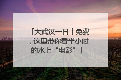 大武汉一日︱免费,这里带你看半小时的水上“电影”