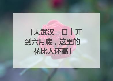 大武汉一日︱开到六月底，这里的花比人还高