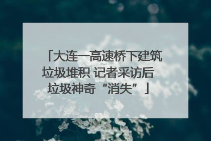 大连一高速桥下建筑垃圾堆积 记者采访后垃圾神奇“消失”
