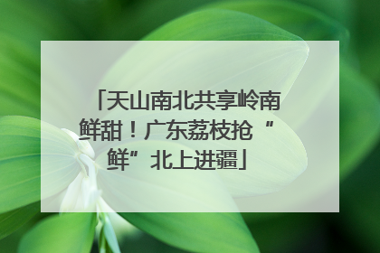 天山南北共享岭南鲜甜！广东荔枝抢“鲜”北上进疆