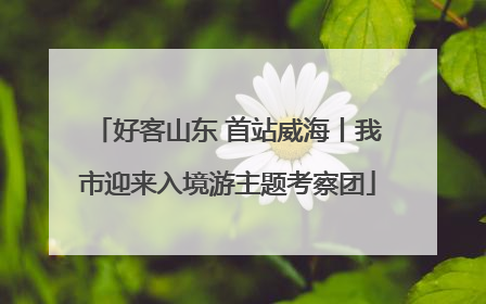 好客山东 首站威海丨我市迎来入境游主题考察团