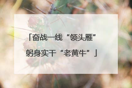 奋战一线“领头雁” 躬身实干“老黄牛”