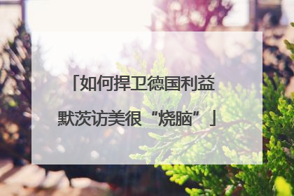 如何捍卫德国利益 默茨访美很“烧脑”