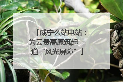 威宁么站电站：为云贵高原筑起一道“风光屏障”