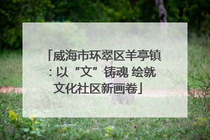 威海市环翠区羊亭镇：以“文”铸魂 绘就文化社区新画卷