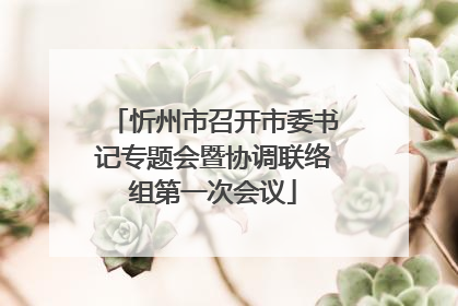 忻州市召开市委书记专题会暨协调联络组第一次会议
