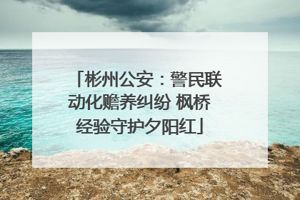彬州公安：警民联动化赡养纠纷 枫桥经验守护夕阳红