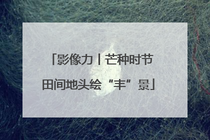 影像力丨芒种时节 田间地头绘“丰”景
