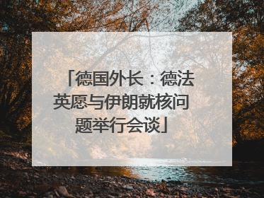 德国外长：德法英愿与伊朗就核问题举行会谈