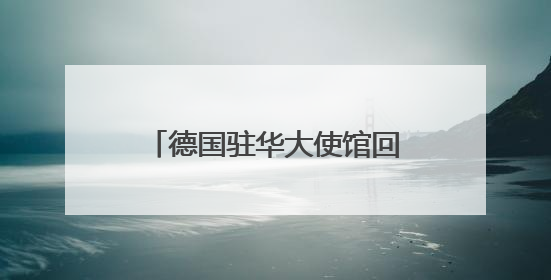 德国驻华大使馆回应樊振东赴德打球