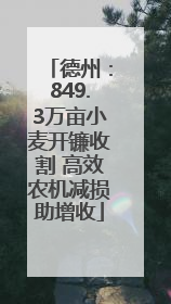 德州：849.3万亩小麦开镰收割 高效农机减损助增收