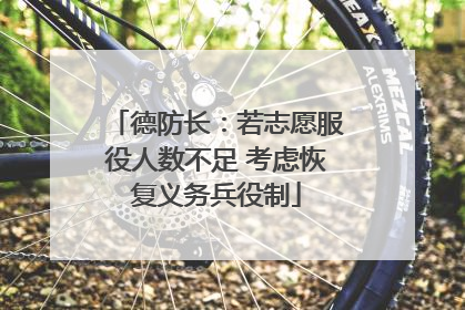德防长：若志愿服役人数不足 考虑恢复义务兵役制