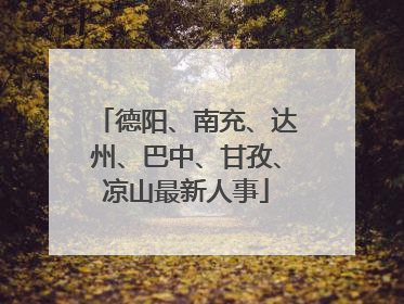 德阳、南充、达州、巴中、甘孜、凉山最新人事