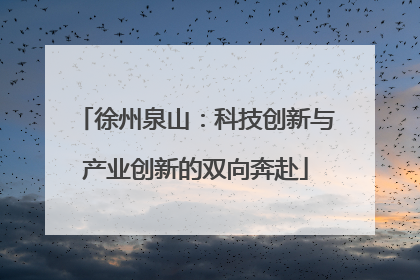 徐州泉山：科技创新与产业创新的双向奔赴