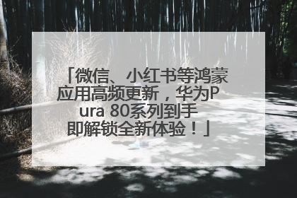 微信、小红书等鸿蒙应用高频更新,华为Pura 80系列到手即解锁全新体验!