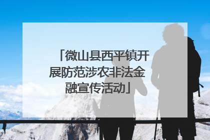 微山县西平镇开展防范涉农非法金融宣传活动