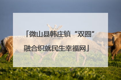 微山县韩庄镇“双圈”融合织就民生幸福网