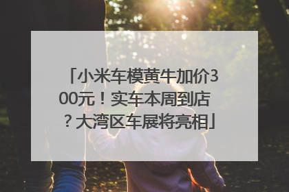 小米车模黄牛加价300元！实车本周到店？大湾区车展将亮相