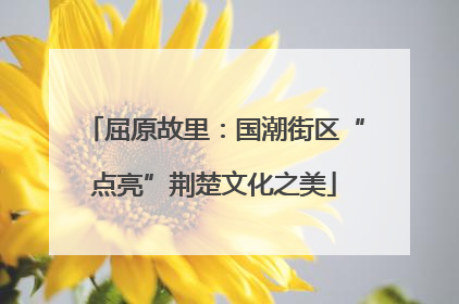 屈原故里：国潮街区“点亮”荆楚文化之美