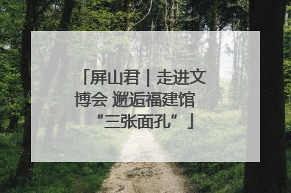 屏山君｜走进文博会 邂逅福建馆“三张面孔”