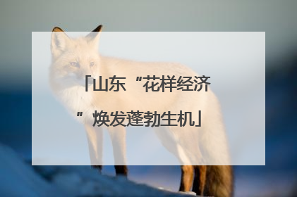 山东“花样经济”焕发蓬勃生机