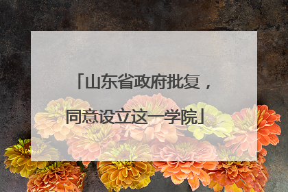 山东省政府批复，同意设立这一学院