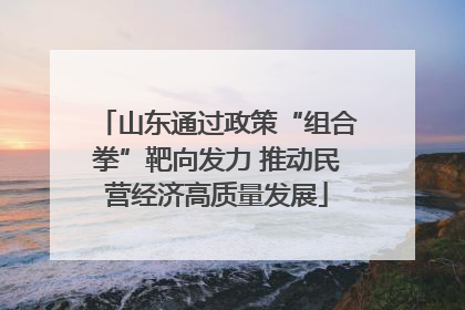 山东通过政策“组合拳”靶向发力 推动民营经济高质量发展