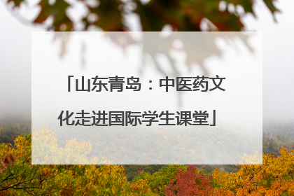 山东青岛：中医药文化走进国际学生课堂