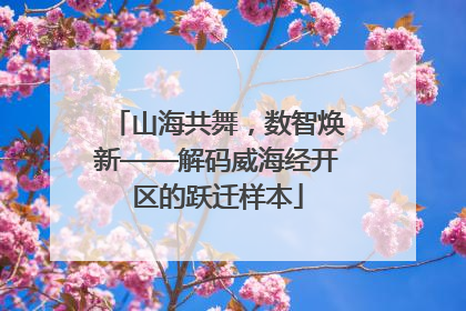 山海共舞，数智焕新——解码威海经开区的跃迁样本