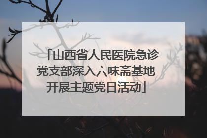 山西省人民医院急诊党支部深入六味斋基地开展主题党日活动