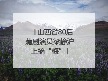 山西省80后蒲剧演员梁静沪上摘“梅”