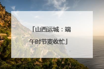山西运城：端午时节麦收忙