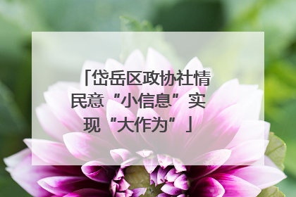 岱岳区政协社情民意“小信息”实现“大作为”