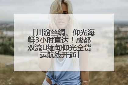 川渝丝绸、仰光海鲜3小时直达！成都双流⇌缅甸仰光全货运航线开通