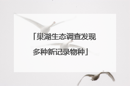 巢湖生态调查发现多种新记录物种