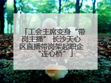工会主席变身“带岗主播” 长沙天心区直播带岗架起职企“连心桥”