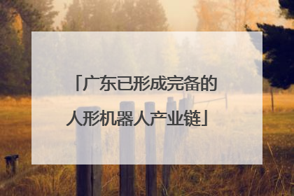 广东已形成完备的人形机器人产业链