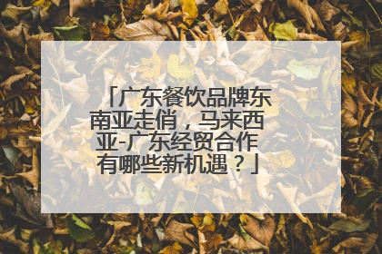 广东餐饮品牌东南亚走俏，马来西亚-广东经贸合作有哪些新机遇？