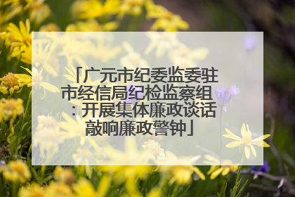 广元市纪委监委驻市经信局纪检监察组：开展集体廉政谈话 敲响廉政警钟