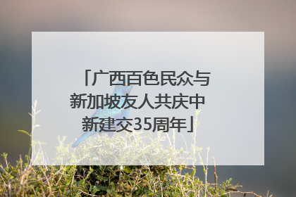 广西百色民众与新加坡友人共庆中新建交35周年