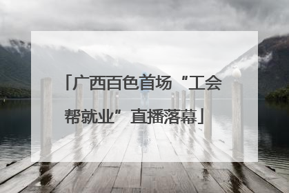广西百色首场“工会帮就业”直播落幕